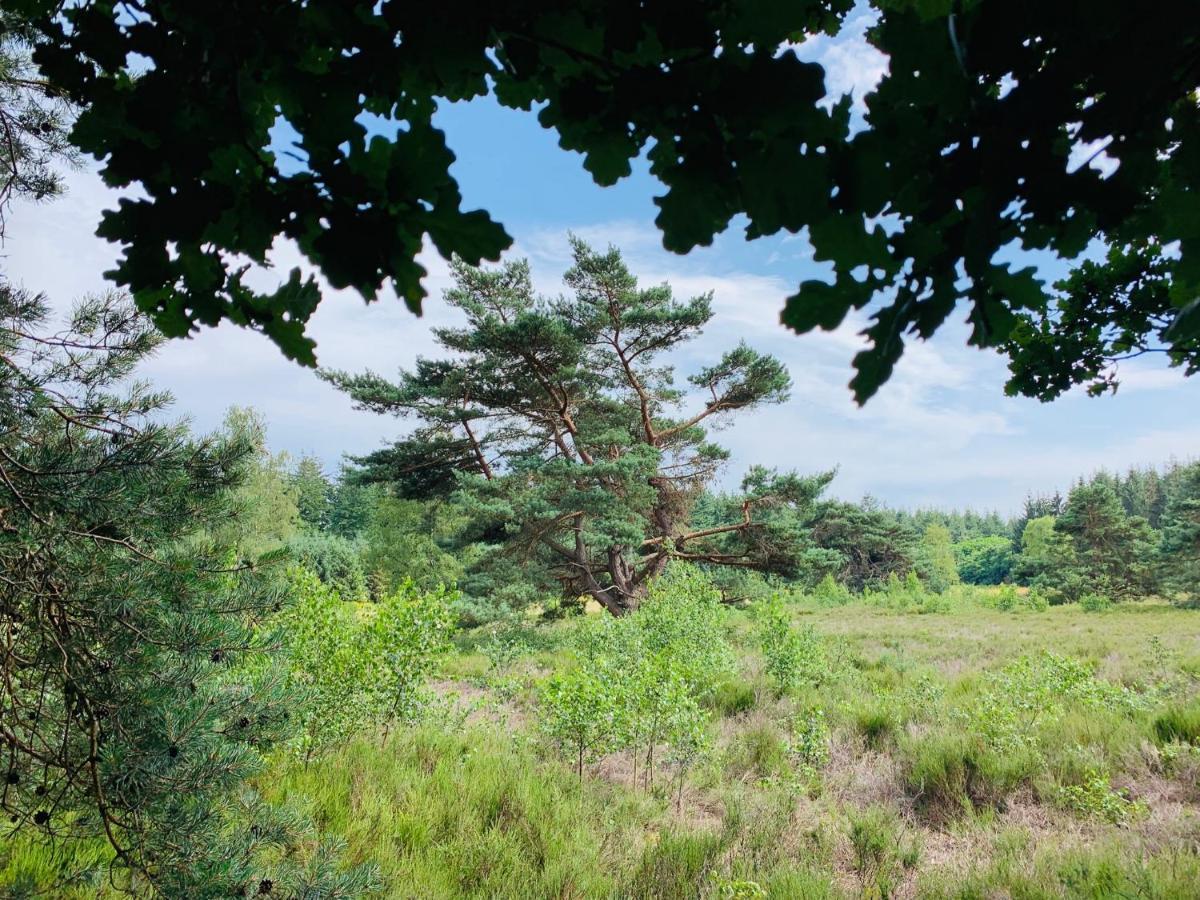 Gouden Hert: Relaxen In Comfort! #Otterlo #Hogeveluwe Exterior photo